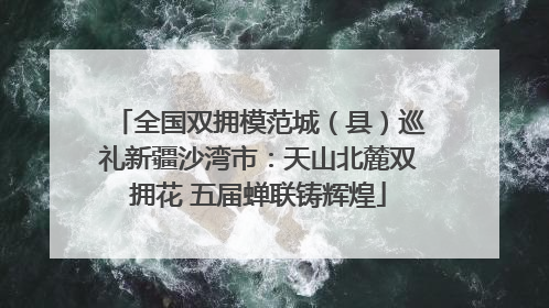 全国双拥模范城（县）巡礼新疆沙湾市：天山北麓双拥花 五届蝉联铸辉煌