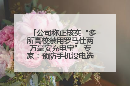 公司称正核实“多所高校禁用罗马仕两万毫安充电宝” 专家：预防手机没电选中等体积产品即可