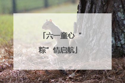 六一童心“粽”情启航