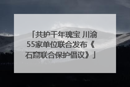 共护千年瑰宝 川渝55家单位联合发布《石窟联合保护倡议》