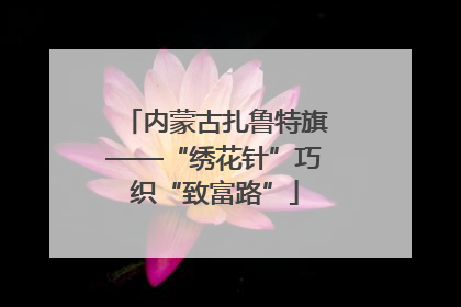 内蒙古扎鲁特旗——“绣花针”巧织“致富路”