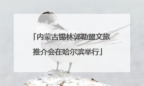内蒙古锡林郭勒盟文旅推介会在哈尔滨举行