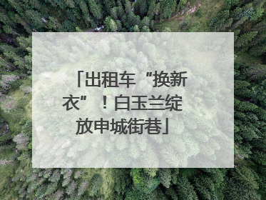出租车“换新衣”！白玉兰绽放申城街巷