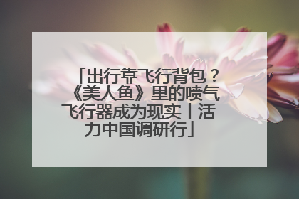 出行靠飞行背包？《美人鱼》里的喷气飞行器成为现实丨活力中国调研行
