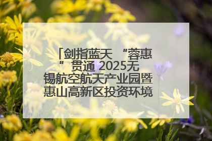 剑指蓝天 “蓉惠”贯通 2025无锡航空航天产业园暨惠山高新区投资环境推介会在成都举行