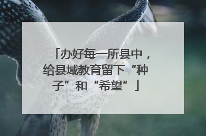 办好每一所县中，给县域教育留下“种子”和“希望”