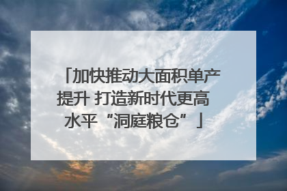 加快推动大面积单产提升 打造新时代更高水平“洞庭粮仓”