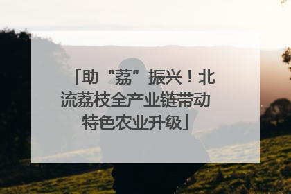 助“荔”振兴！北流荔枝全产业链带动特色农业升级