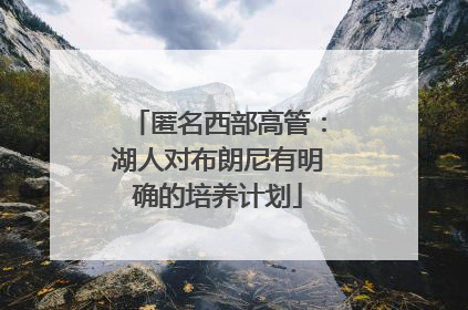 匿名西部高管：湖人对布朗尼有明确的培养计划