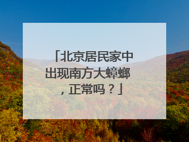北京居民家中出现南方大蟑螂，正常吗？