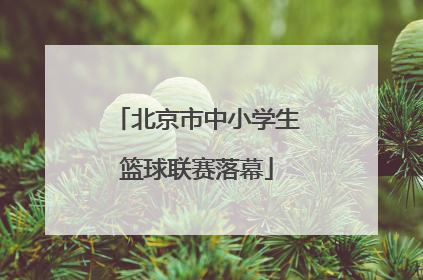 北京市中小学生篮球联赛落幕