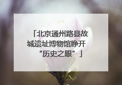 北京通州路县故城遗址博物馆睁开“历史之眼”