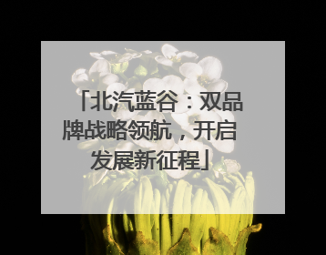 北汽蓝谷：双品牌战略领航，开启发展新征程