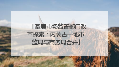 基层市场监管部门改革探索：内蒙古一地市监局与商务局合并