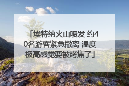 埃特纳火山喷发 约40名游客紧急撤离 温度极高感觉要被烤焦了