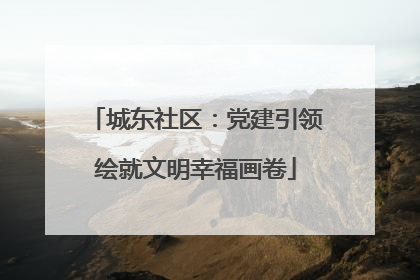 城东社区：党建引领绘就文明幸福画卷