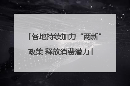 各地持续加力“两新”政策 释放消费潜力