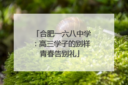 合肥一六八中学：高三学子的别样青春告别礼