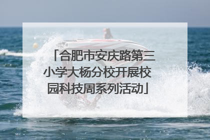 合肥市安庆路第三小学大杨分校开展校园科技周系列活动