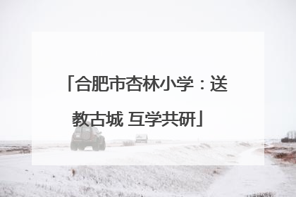 合肥市杏林小学：送教古城 互学共研