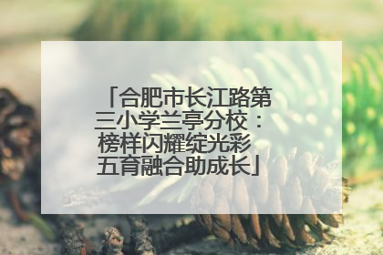合肥市长江路第三小学兰亭分校：榜样闪耀绽光彩 五育融合助成长