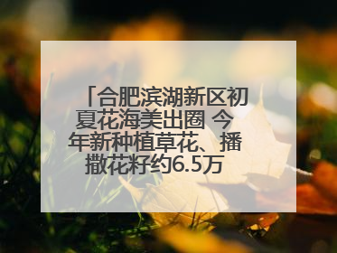 合肥滨湖新区初夏花海美出圈 今年新种植草花、播撒花籽约6.5万平方米