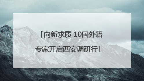 向新求质 10国外籍专家开启西安调研行