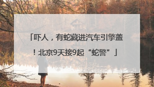 吓人，有蛇藏进汽车引擎盖！北京9天接9起“蛇警”