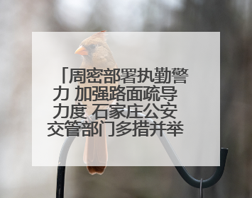 周密部署执勤警力 加强路面疏导力度 石家庄公安交管部门多措并举确保考点周边交通环境良好