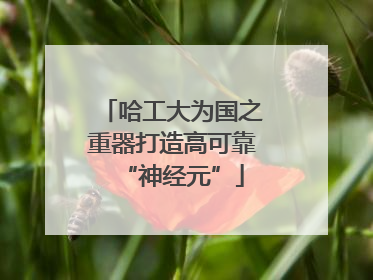 哈工大为国之重器打造高可靠“神经元”