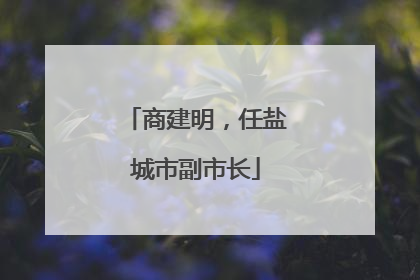 商建明，任盐城市副市长