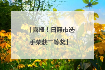 喜报！日照市选手荣获二等奖
