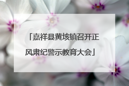 嘉祥县黄垓镇召开正风肃纪警示教育大会