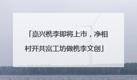 嘉兴槜李即将上市，净相村开共富工坊做槜李文创