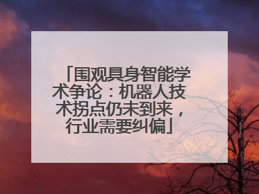 围观具身智能学术争论：机器人技术拐点仍未到来，行业需要纠偏