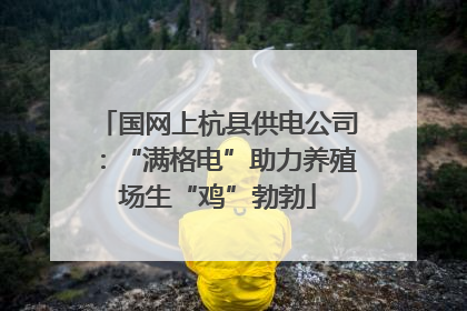 国网上杭县供电公司：“满格电”助力养殖场生“鸡”勃勃