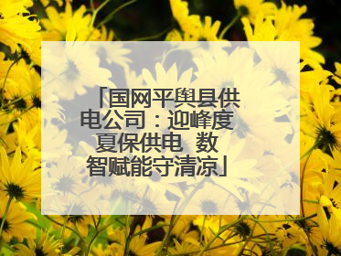 国网平舆县供电公司：迎峰度夏保供电  数智赋能守清凉