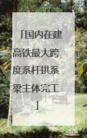 国内在建高铁最大跨度系杆拱系梁主体完工