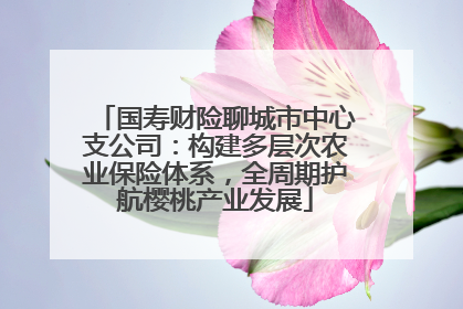 国寿财险聊城市中心支公司：构建多层次农业保险体系，全周期护航樱桃产业发展