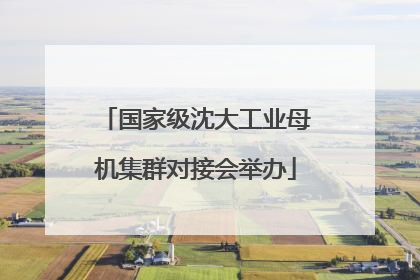 国家级沈大工业母机集群对接会举办