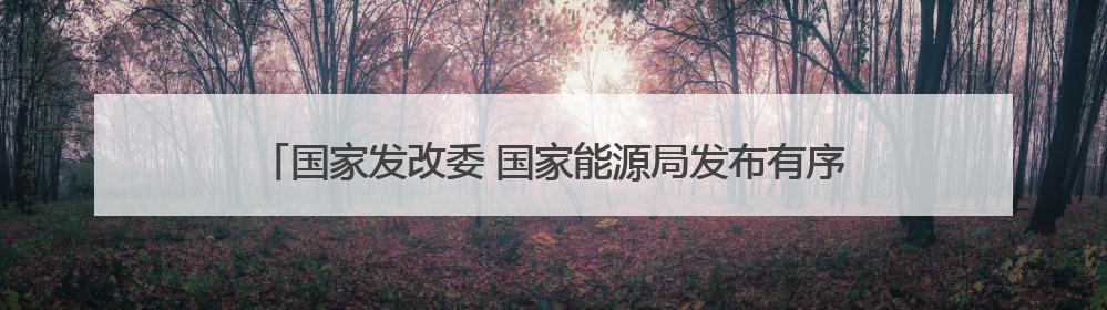 国家发改委 国家能源局发布有序推动绿电直连发展有关事项通知