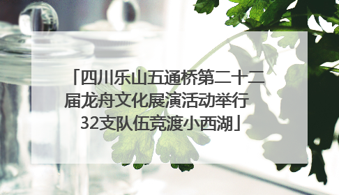 四川乐山五通桥第二十二届龙舟文化展演活动举行 32支队伍竞渡小西湖