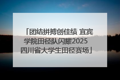 团结拼搏创佳绩 宜宾学院田径队闪耀2025四川省大学生田径赛场