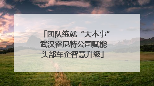 团队练就“大本事” 武汉霍尼特公司赋能头部车企智慧升级