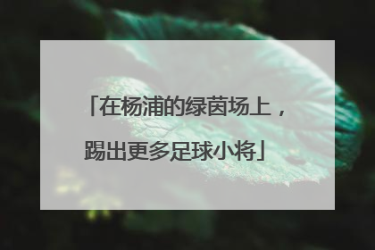在杨浦的绿茵场上，踢出更多足球小将