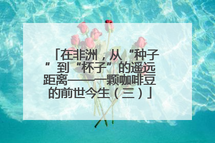 在非洲，从“种子”到“杯子”的遥远距离——一颗咖啡豆的前世今生（三）