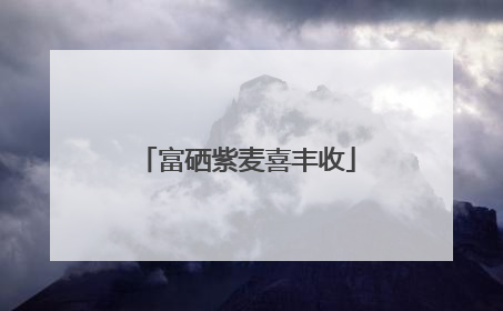 富硒紫麦喜丰收