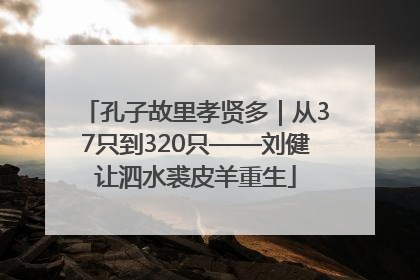 孔子故里孝贤多｜从37只到320只——刘健让泗水裘皮羊重生