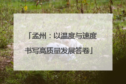 孟州：以温度与速度书写高质量发展答卷
