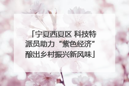 宁夏西夏区 科技特派员助力“紫色经济”酿出乡村振兴新风味